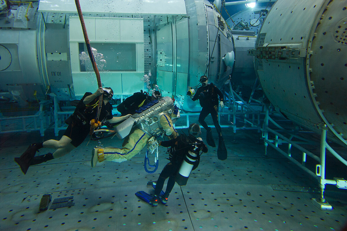 罗曼·索科洛夫　摄【俄罗斯卫星通讯社】