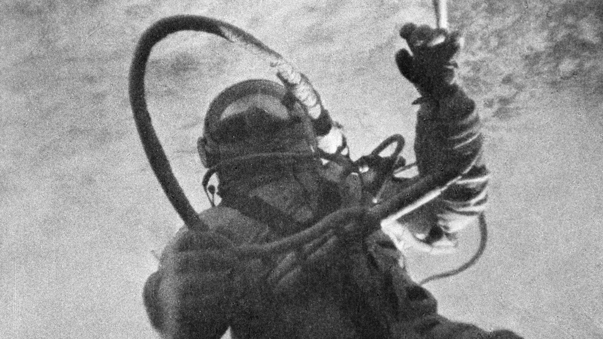 俄罗斯卫星通讯社