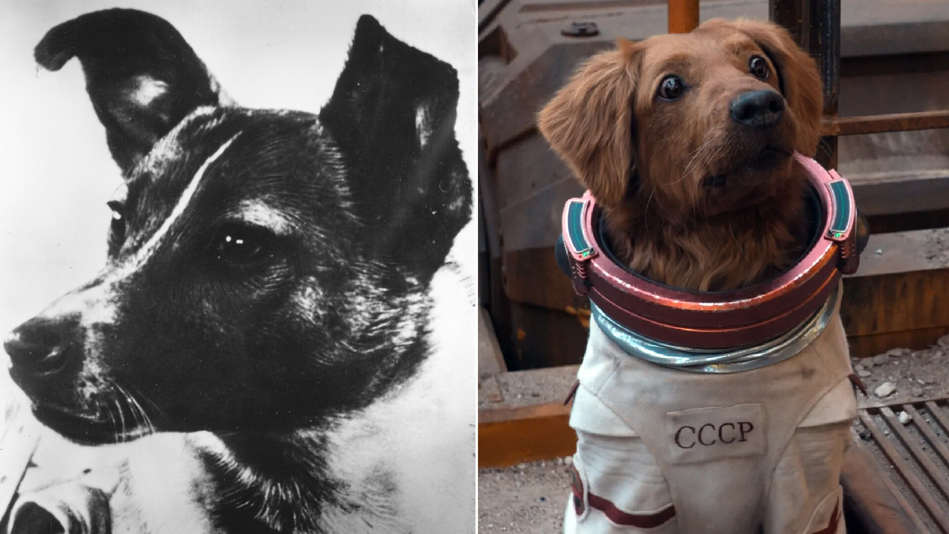 Keystone/盖蒂图片社（Getty Images）; 漫威影业