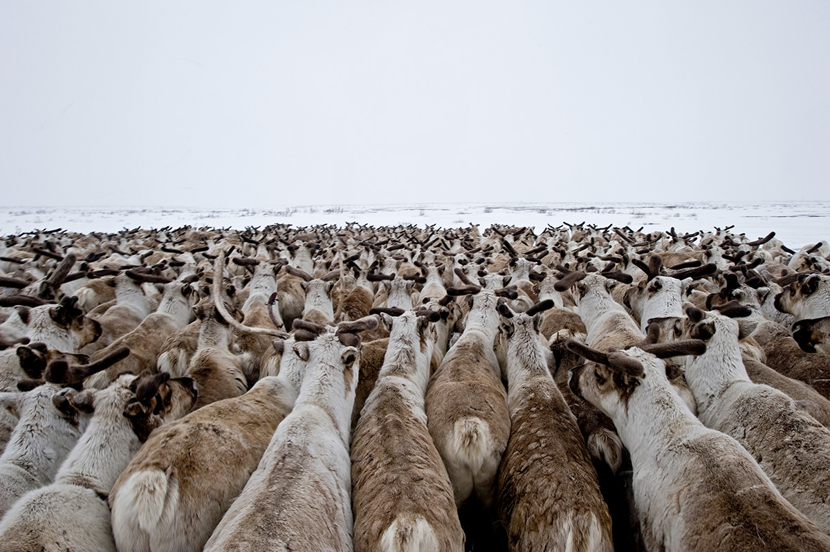 Arne Hodalic/Corbis via Getty Images