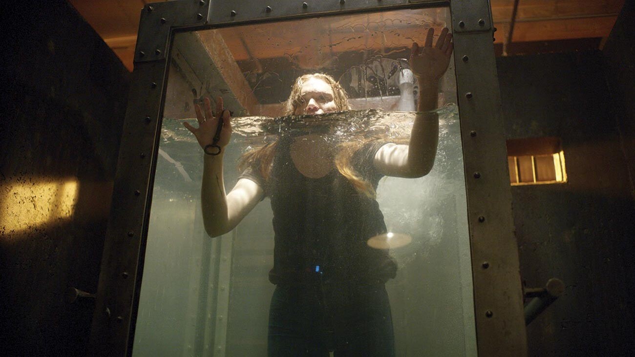 威尔·韦尼克【垂直娱乐公司（2020）】