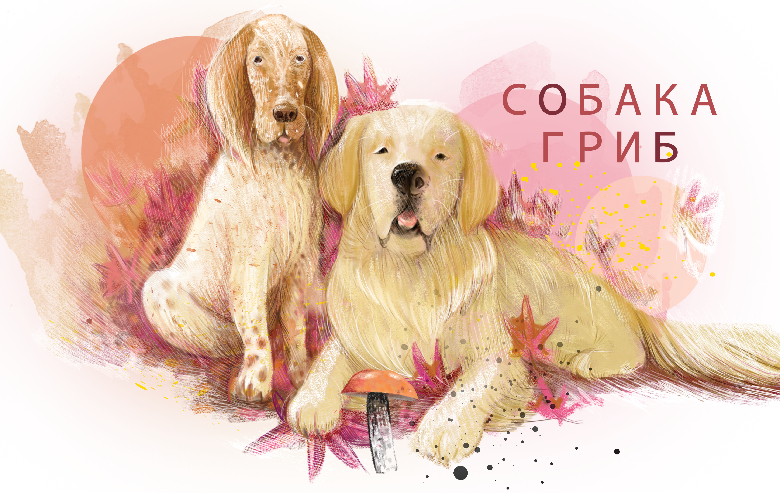 《HED俄罗斯国际高等教育杂志》社