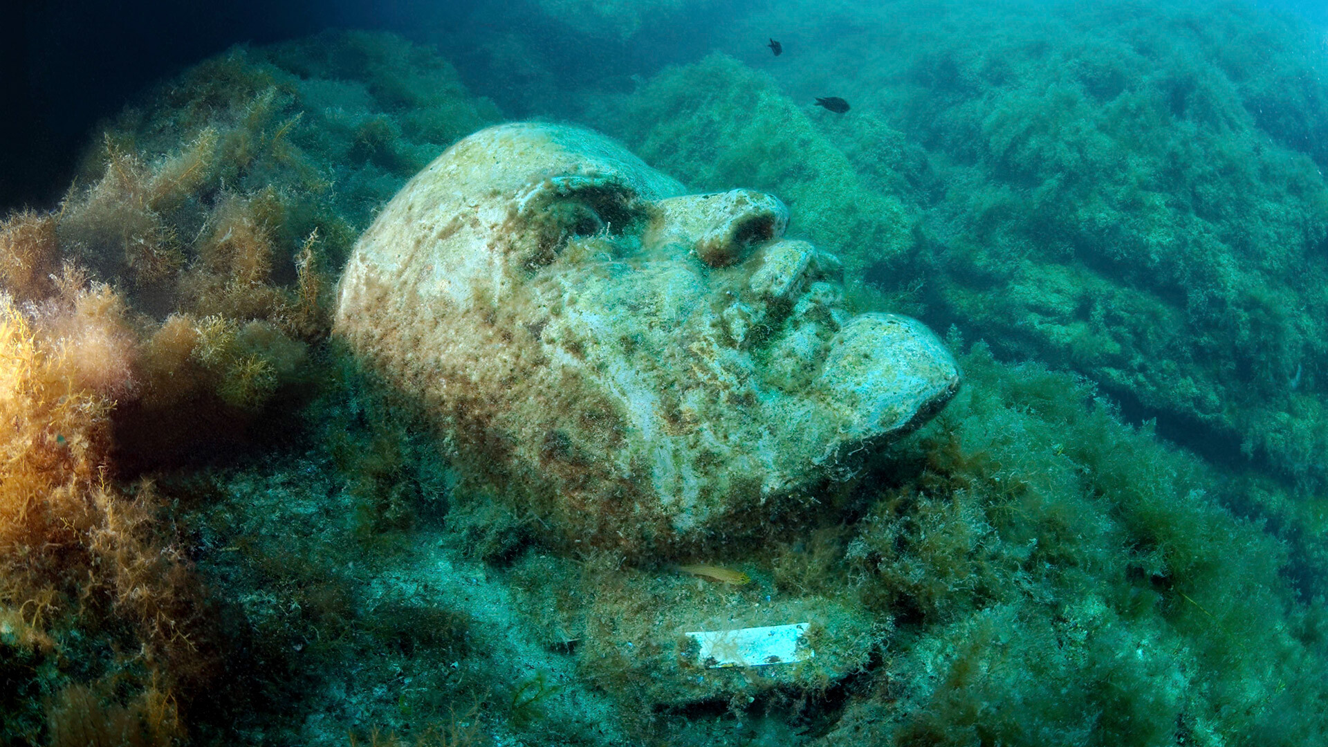 安德烈·涅克拉索夫　摄【环球视野通讯社（Global Look Press）】