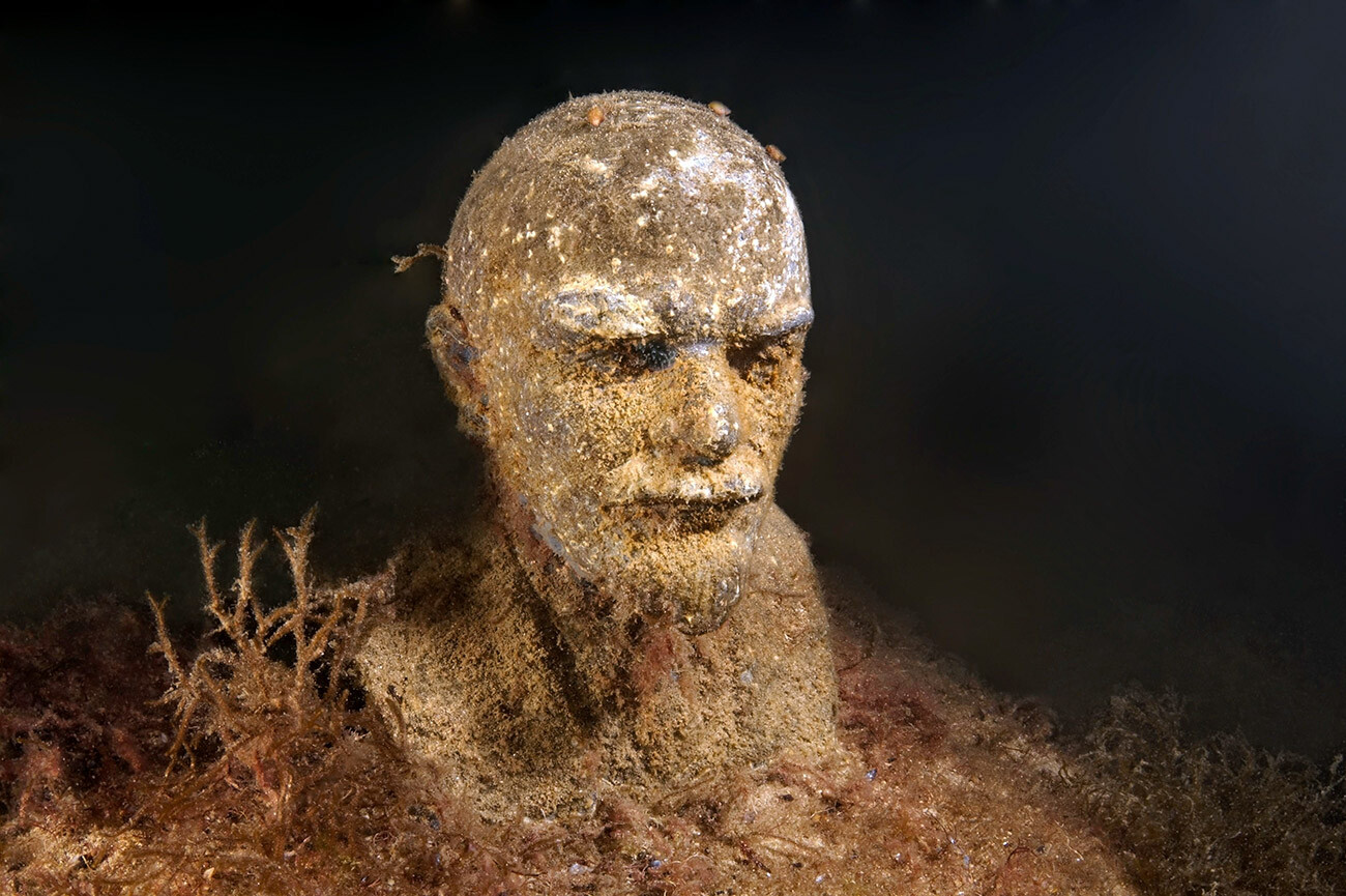 安德烈·涅克拉索夫　摄【环球视野通讯社（Global Look Press）】