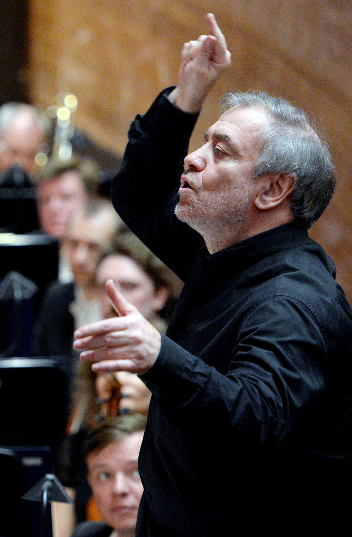 阿列克谢·达尼切夫　摄【俄罗斯卫星通讯社】