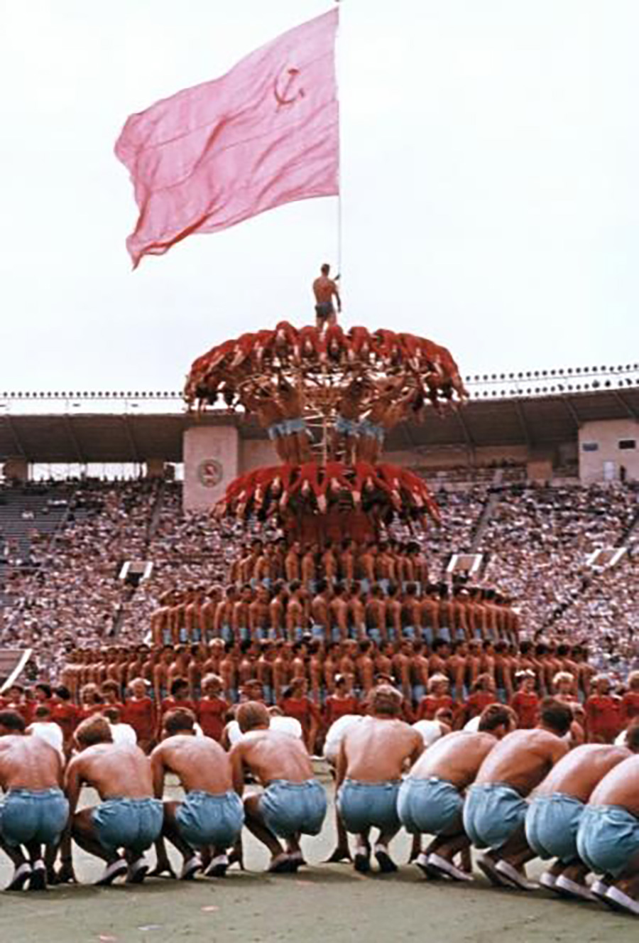 レフ・ボロドゥリン／MAMM／MDF