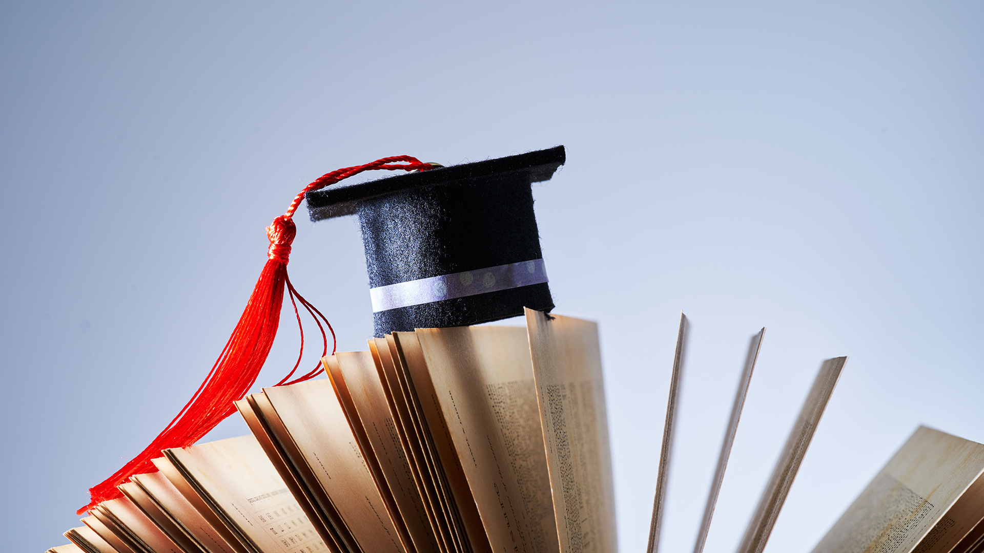 new look casting/Getty Images