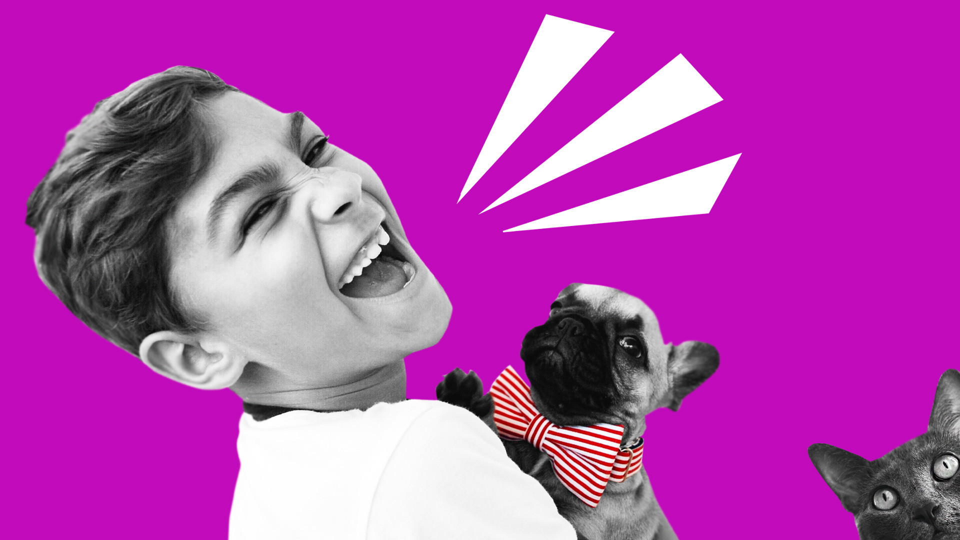 艾丽西亚·琼斯，伊莉丝·彼得罗维奇/Unsplash