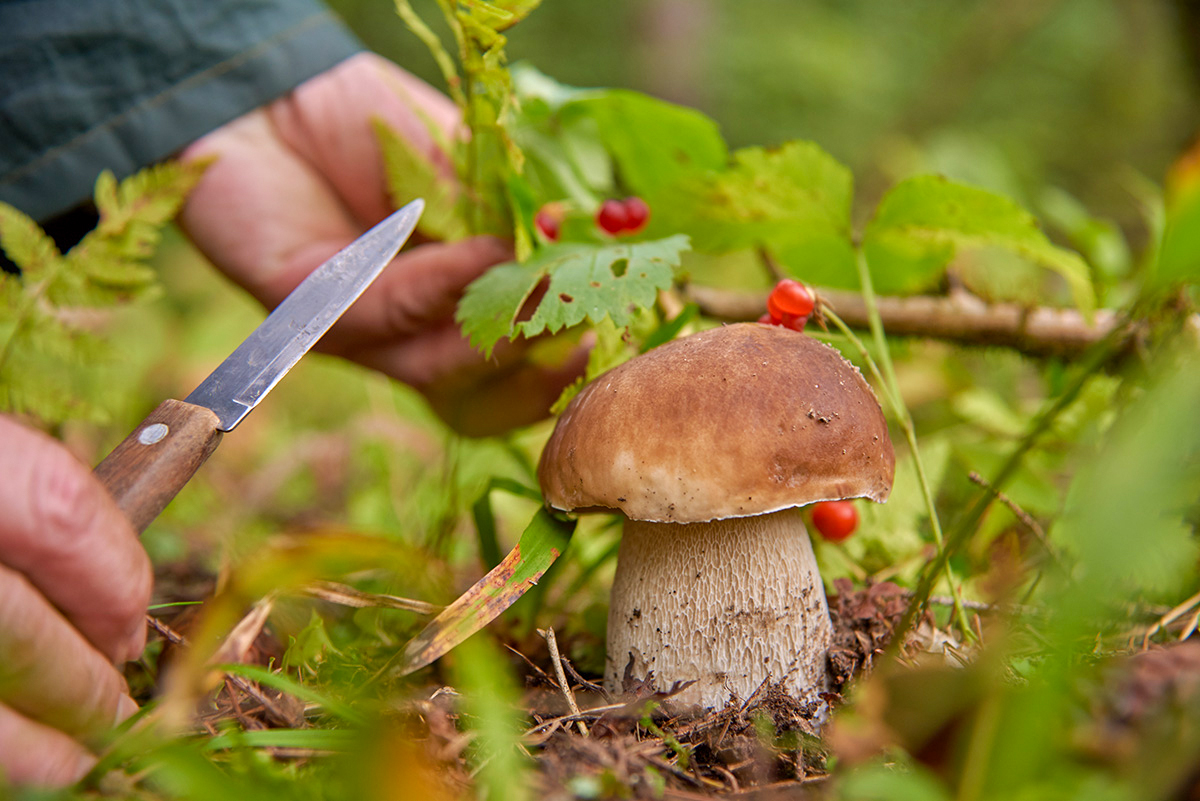 Dina Orlova / Getty Images