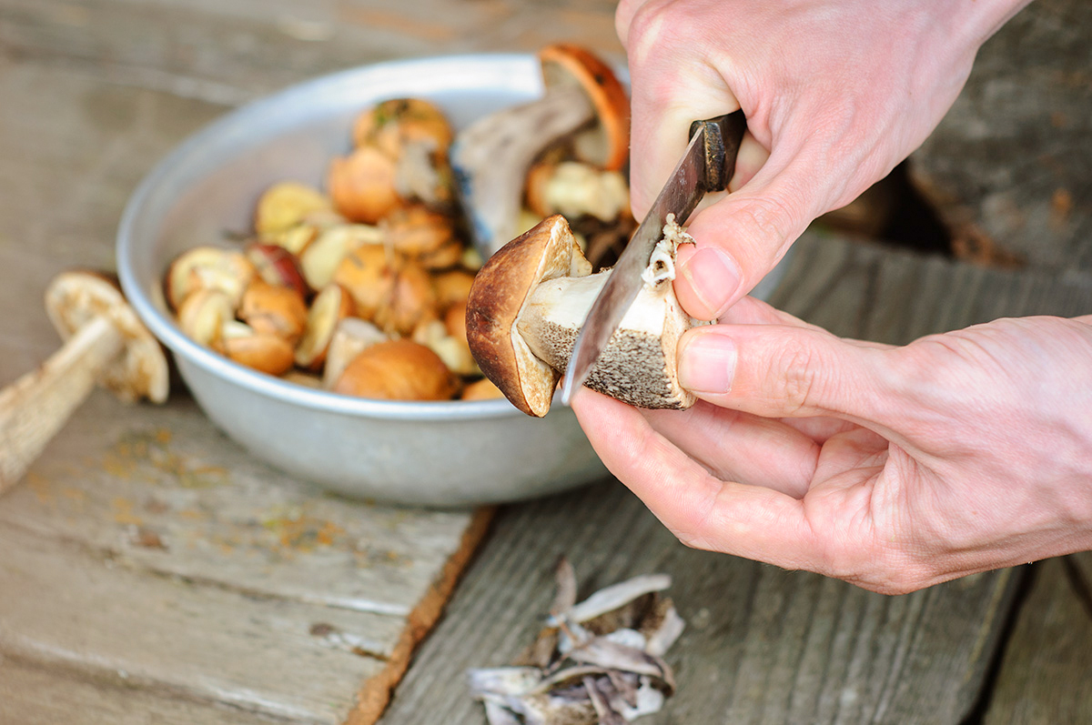 molenira / Getty Images