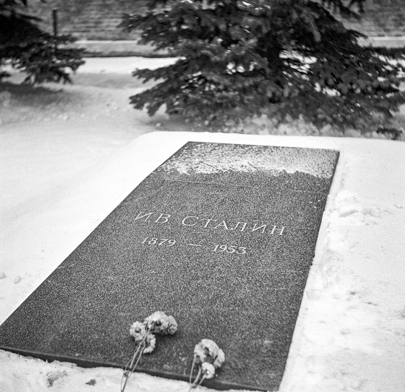 Lyudmila Pakhomova/TASS