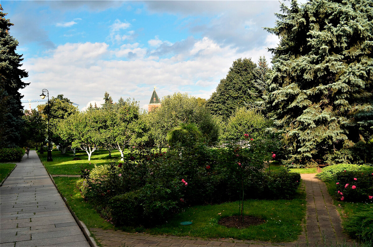 Alexandrovs AG　摄（CC BY-SA 4.0 协议授权使用）