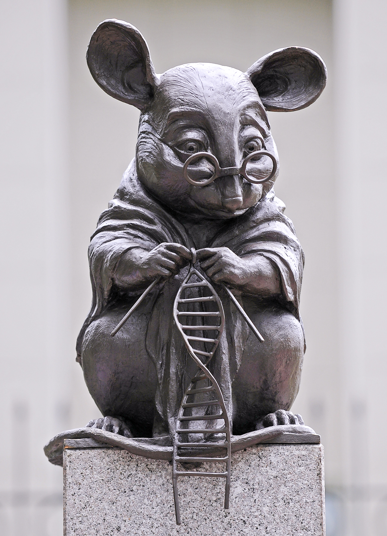 Andrei Grebnev / TASS