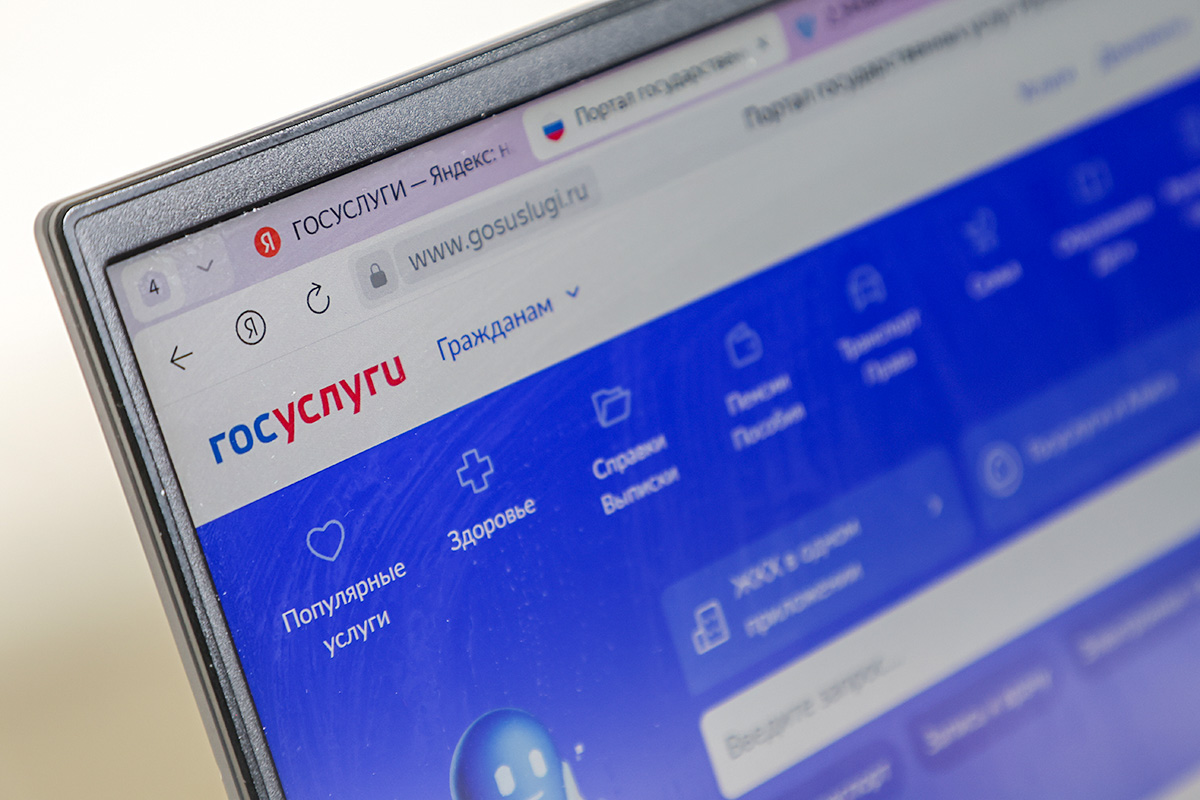 Alexei Belkin/NEWS.ru / TASS