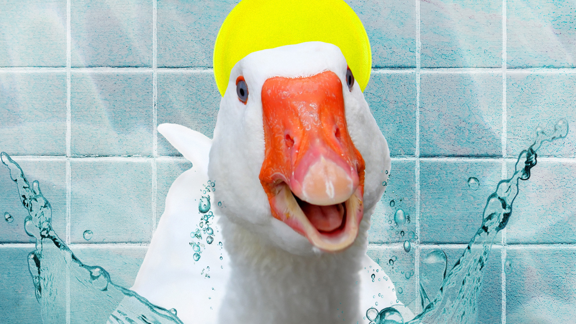 Kira Lisitskaya (Photo: rawpixel; 578foot/Getty Images)