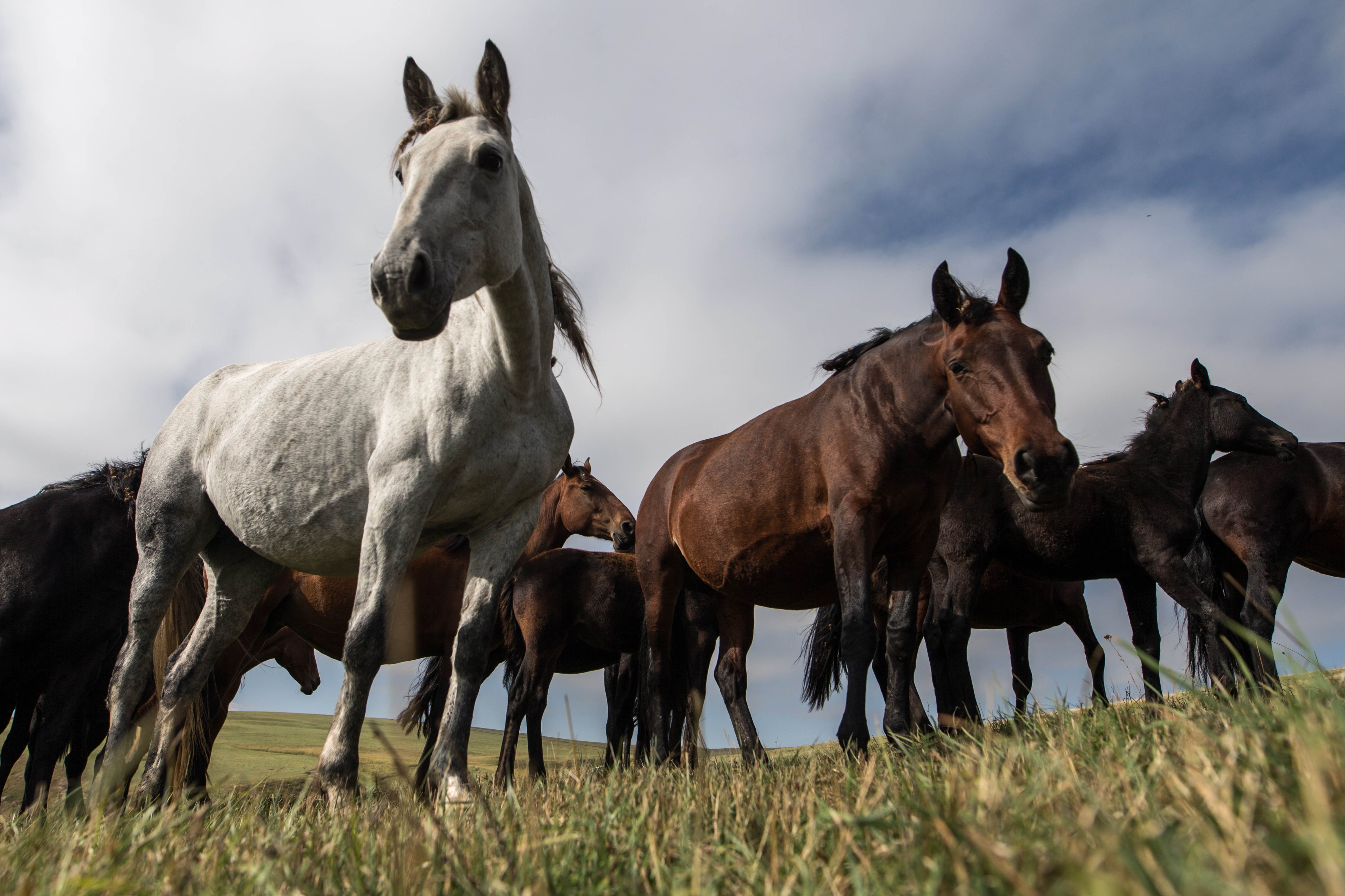 Sergueï Bobylev / Sputnik