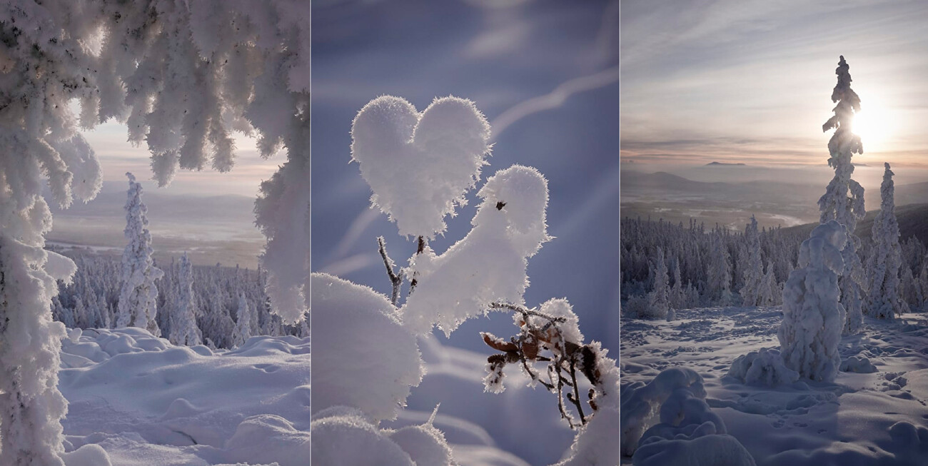 谢苗·西夫采夫　摄（@sivtsevsema958）