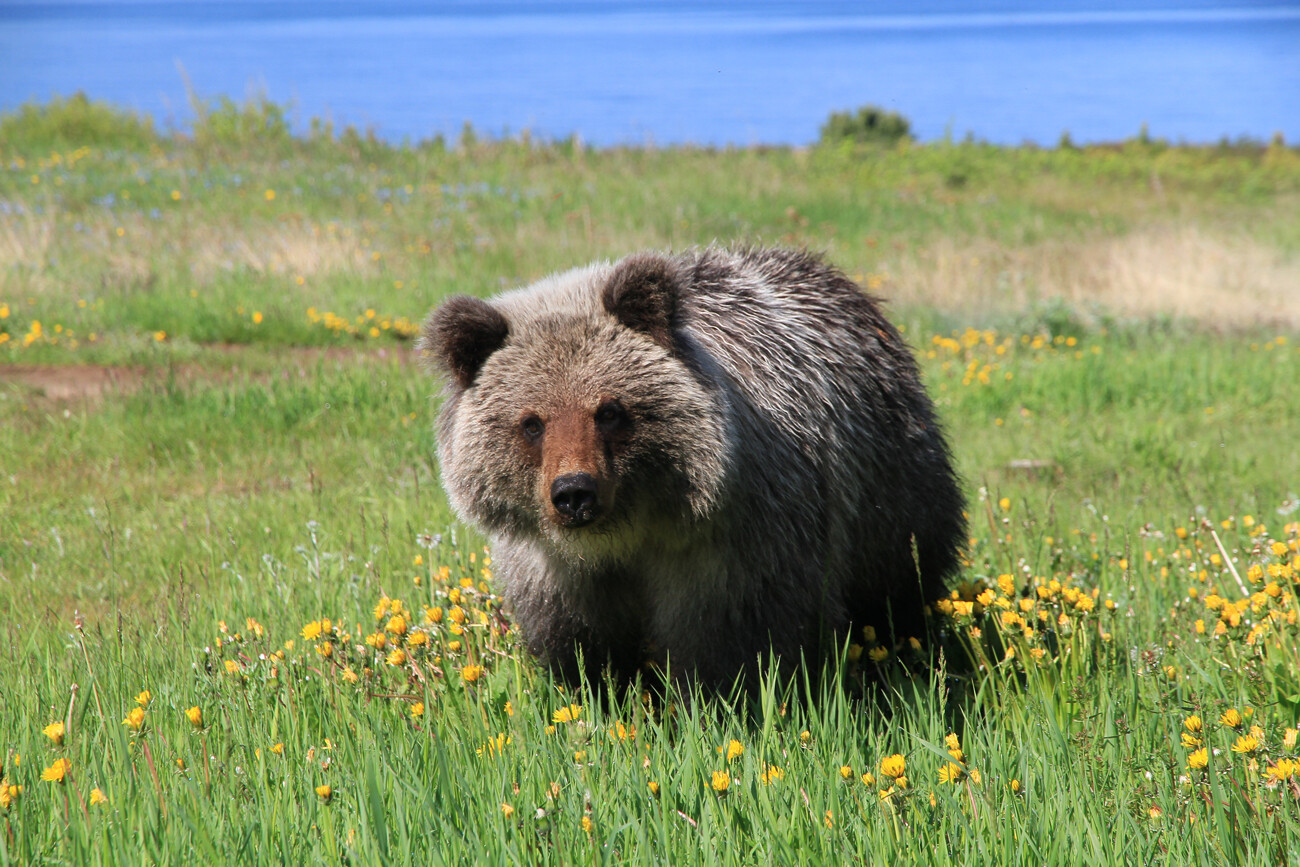 弗·霍赫洛耶夫（B.Khokhloev）　摄