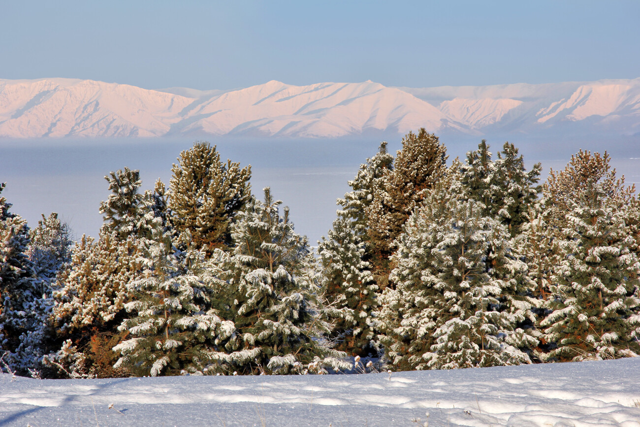 斯·希蒂科夫（S.Shitikov）　摄