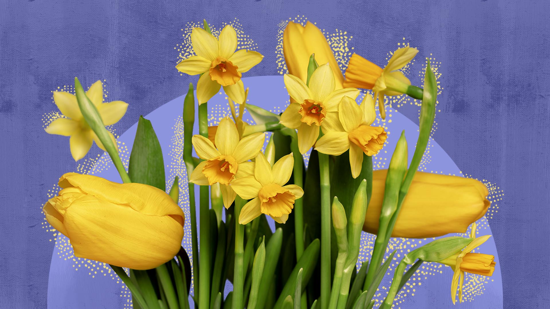 Tatiana Sviridova, 13708458888, Andreas Streich/500px, Lilly Kurii, Olga Seifutdinova, Yuya Kimoto/Getty Images