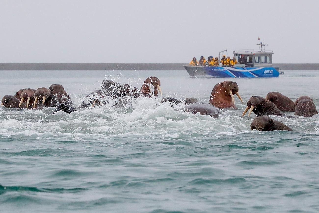维亚切斯拉夫·维克托洛夫　摄【俄罗斯国家会议基金会（Roscongress）】