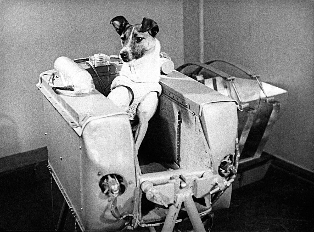 Sputnik