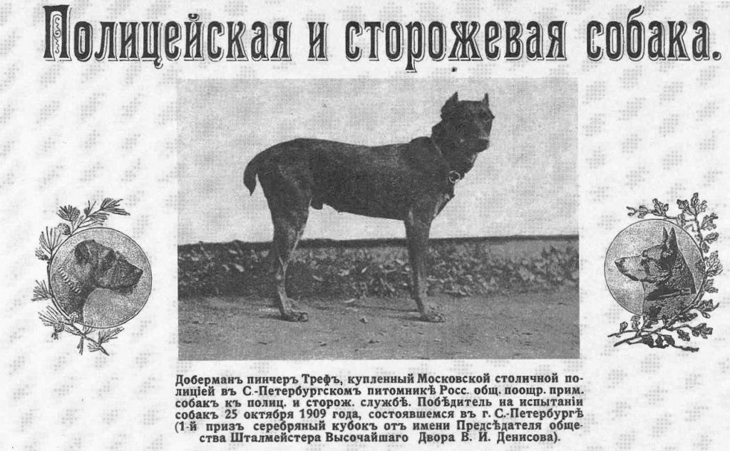Архивное фото