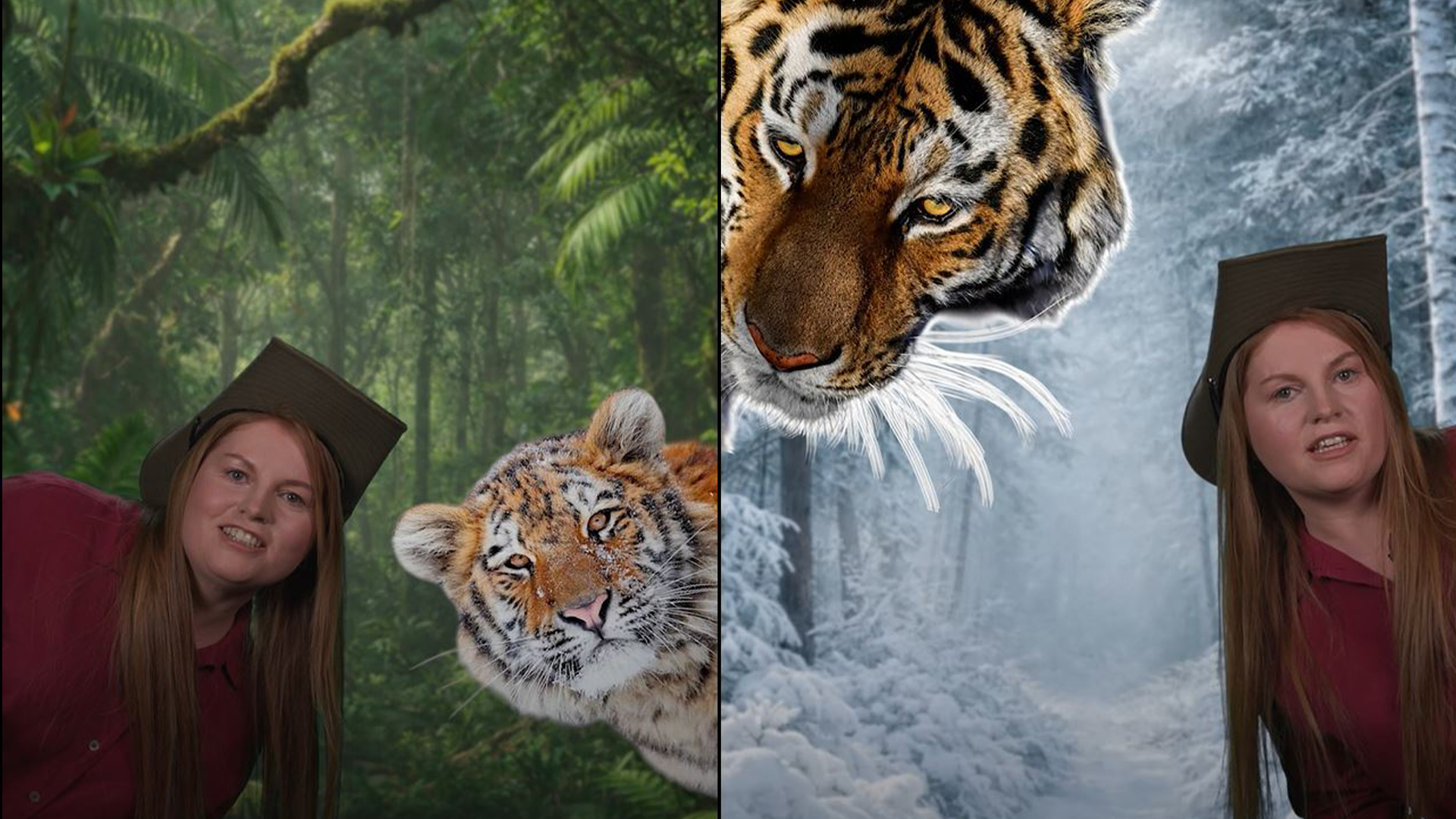 Анна Соркина