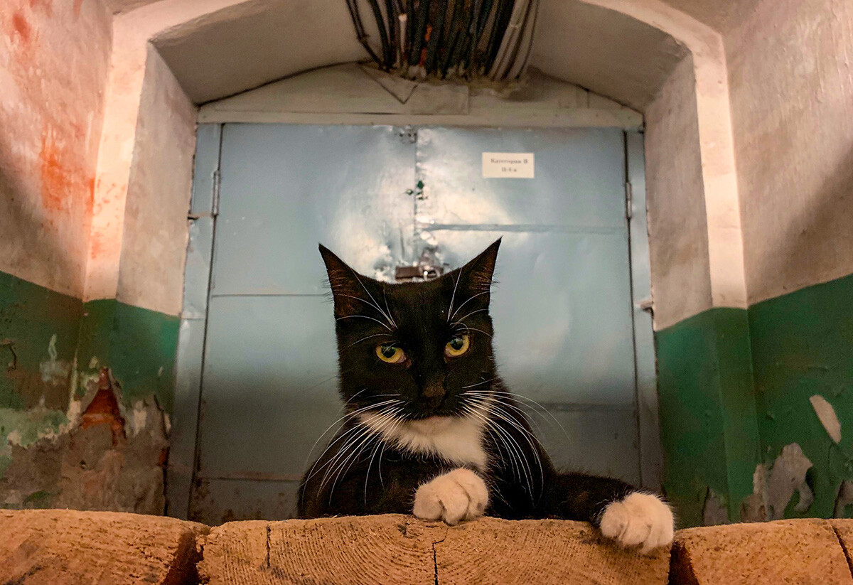 安娜·索罗金娜　摄