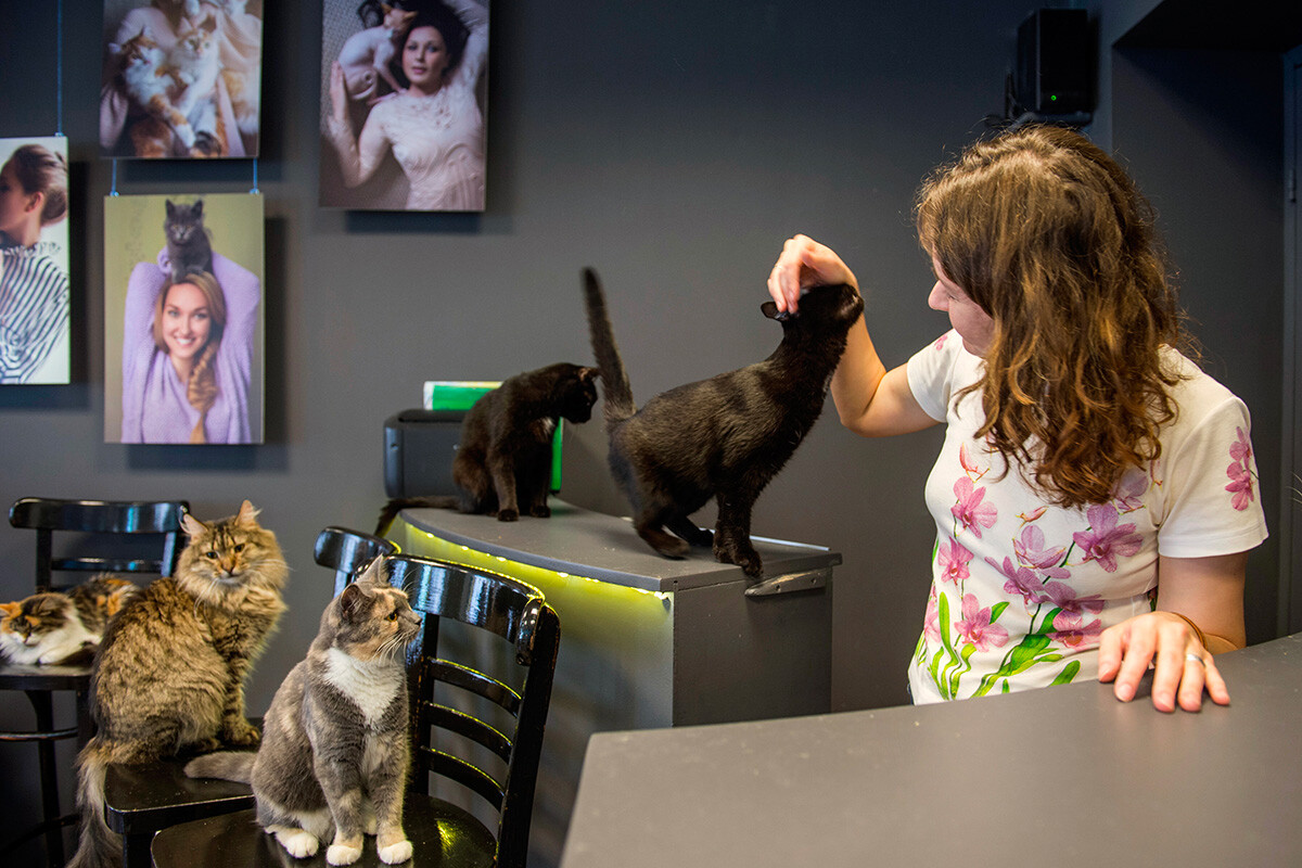 亚历山大·加尔佩林　摄【俄罗斯卫星通讯社】