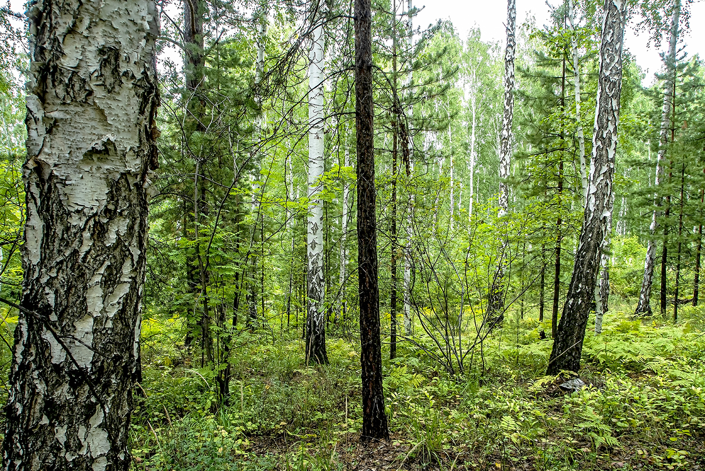 petrovval/ / Getty Images