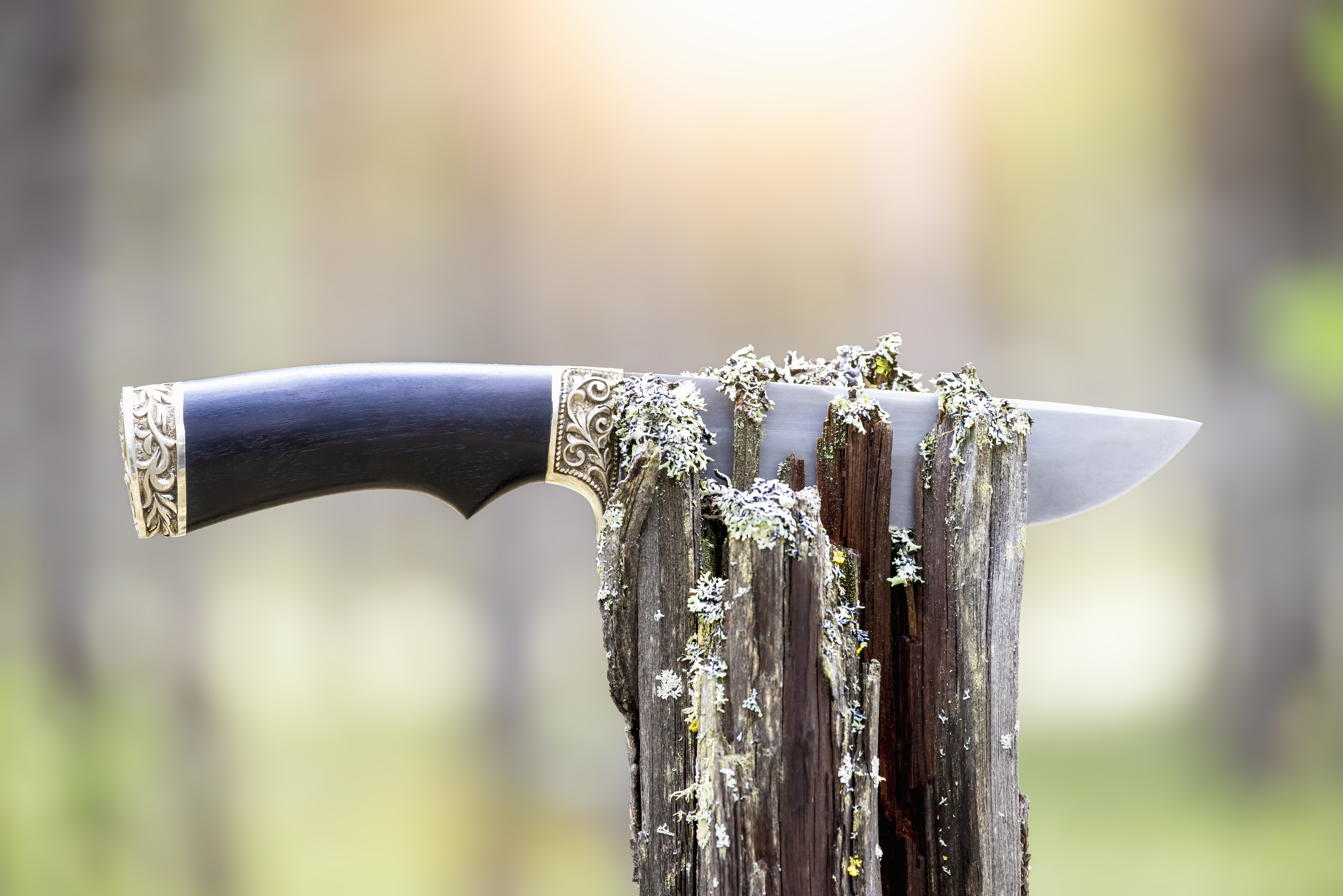  Evgenyi Filatov / Getty Images