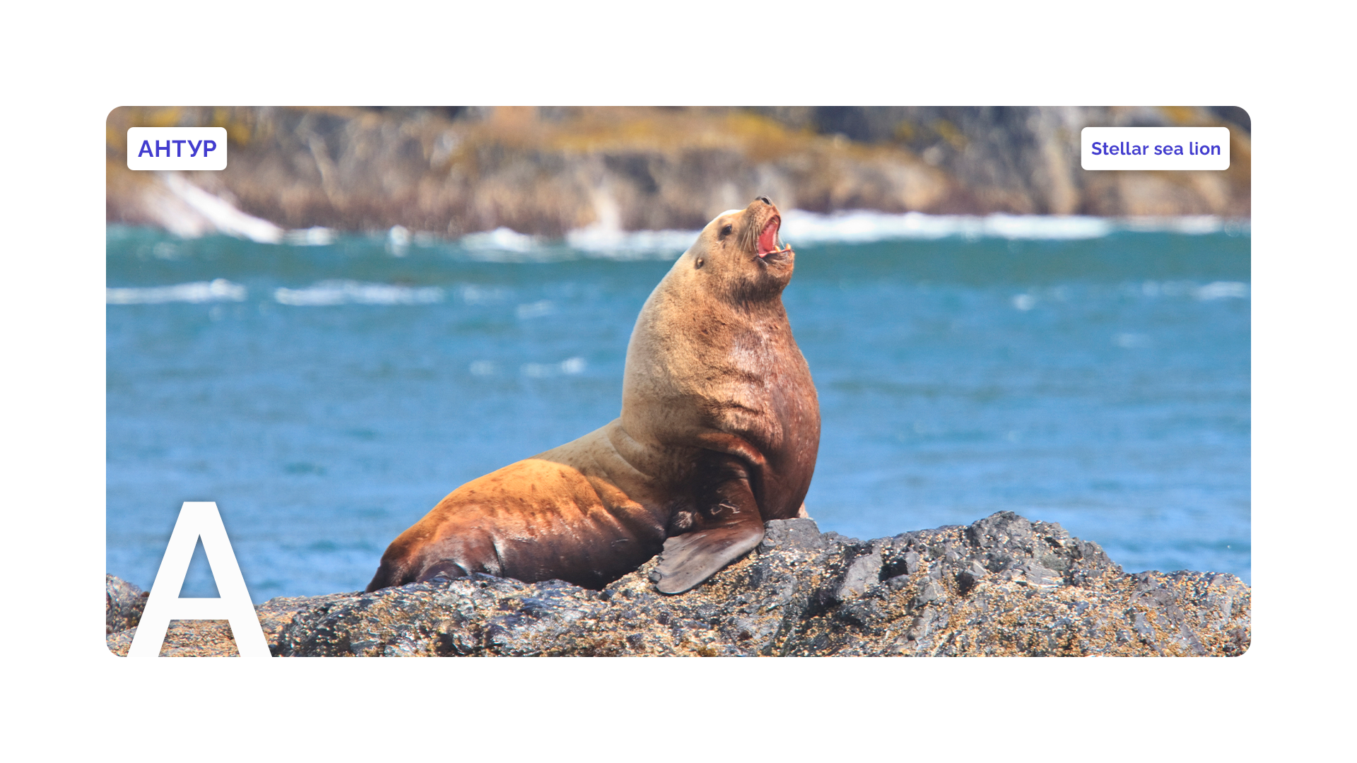 Stuart Westmorland/Getty Images