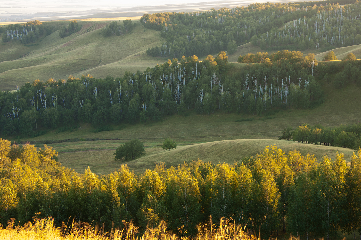 TatyanaMishchenko/Getty Images