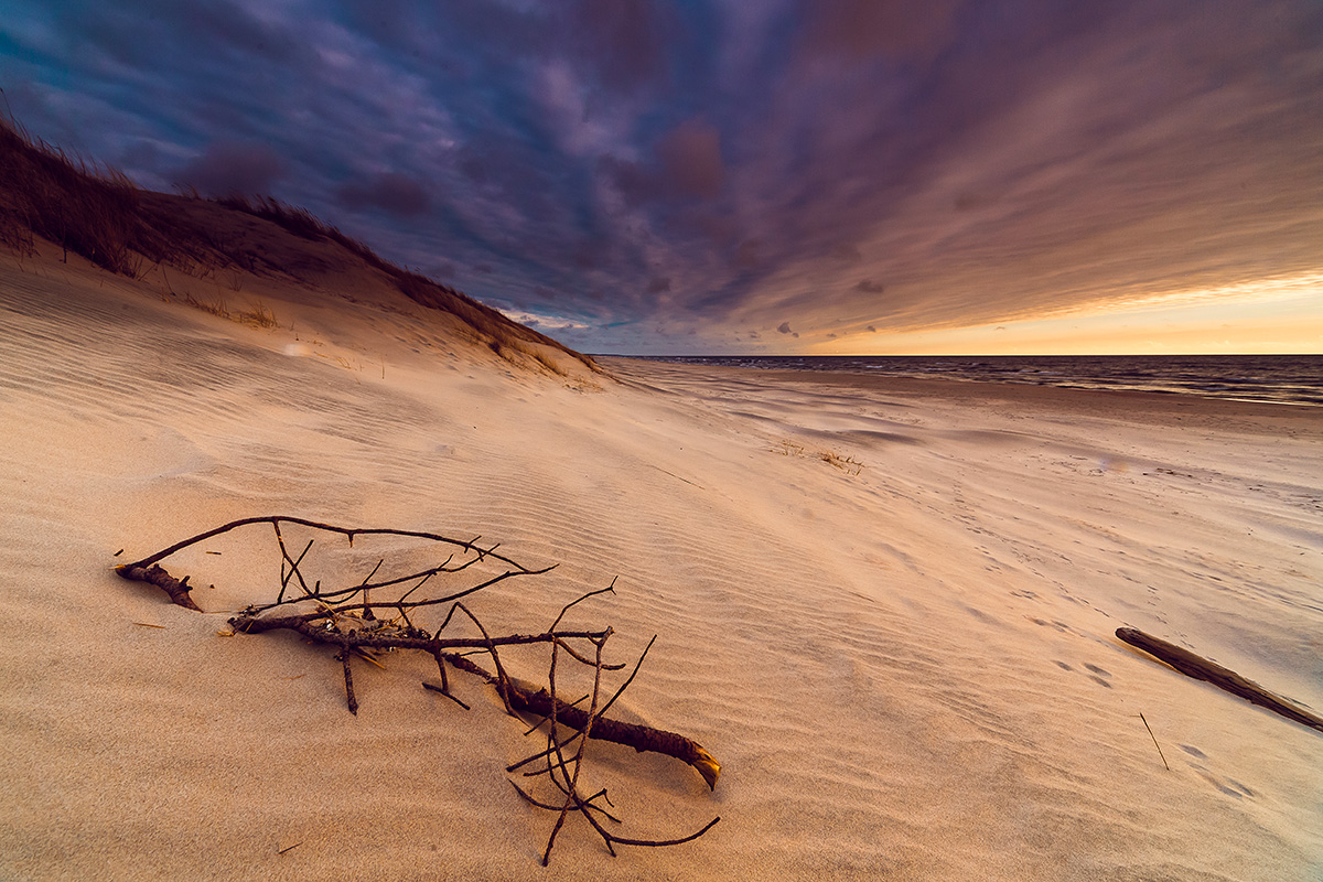 ruslanbolgov / Getty Images