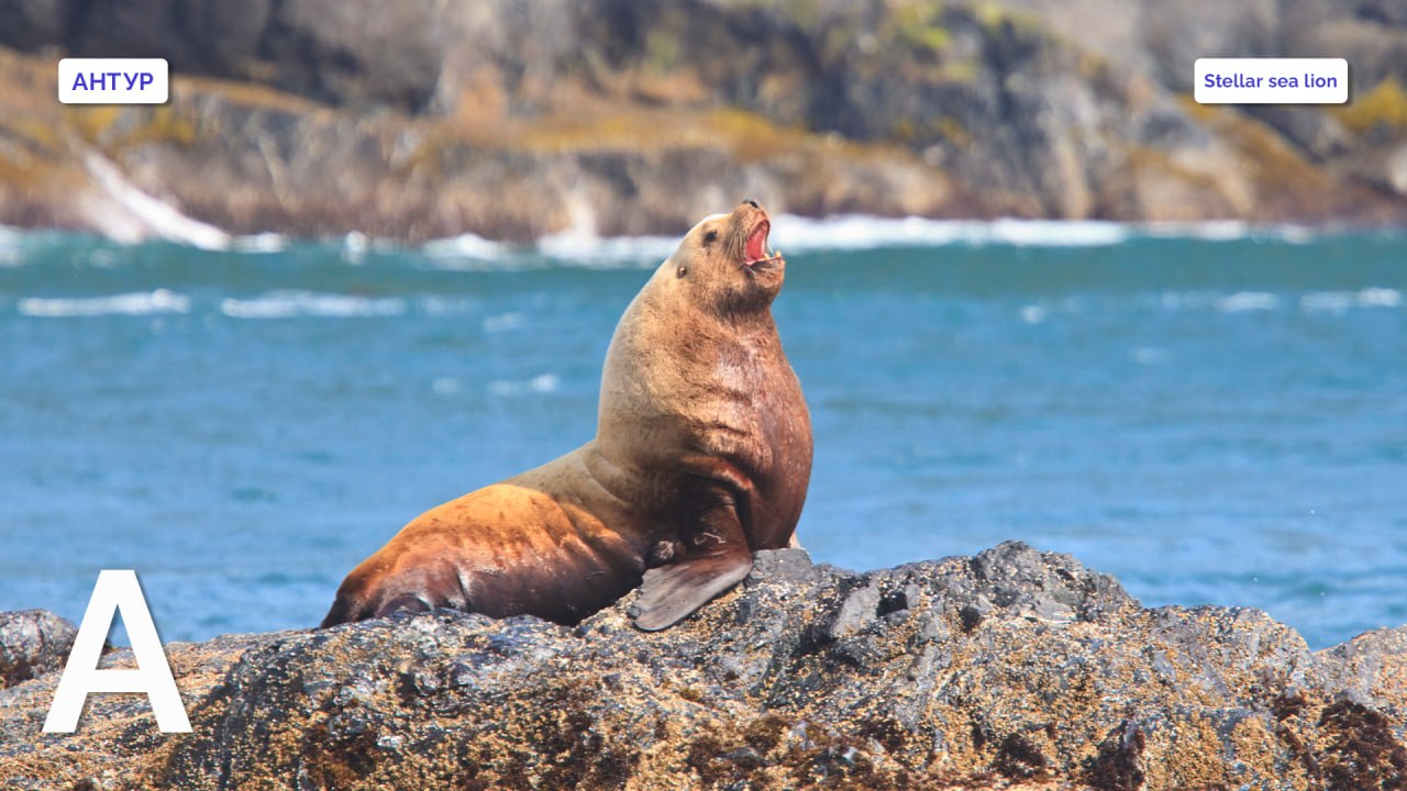 Stuart Westmorland / Getty Images