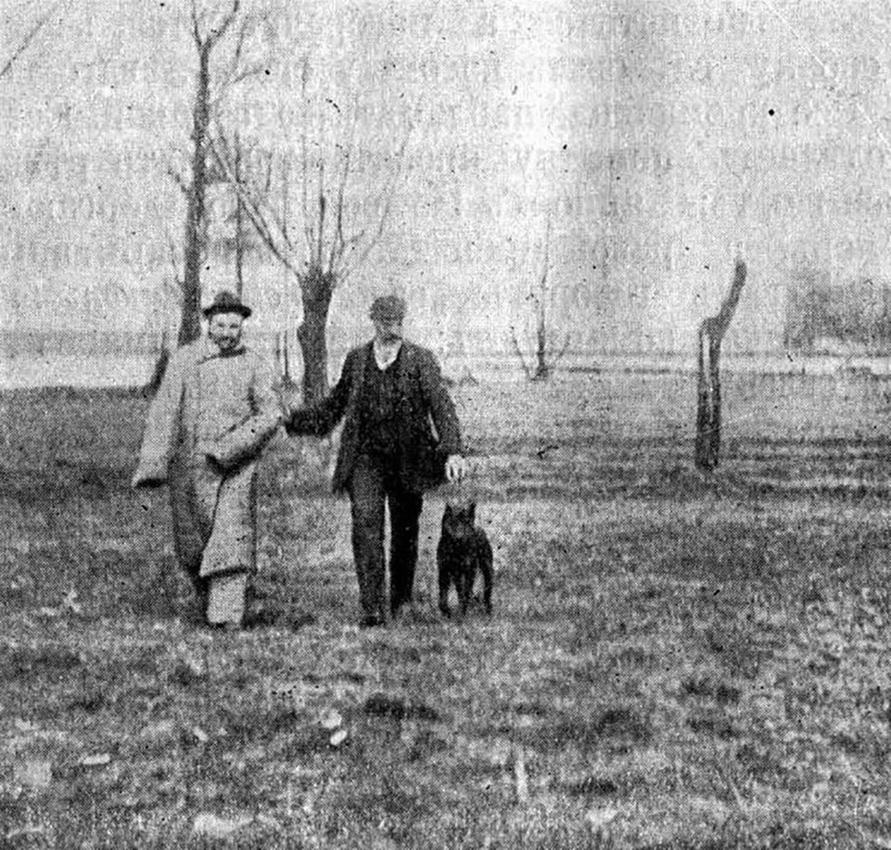 アーカイブ写真