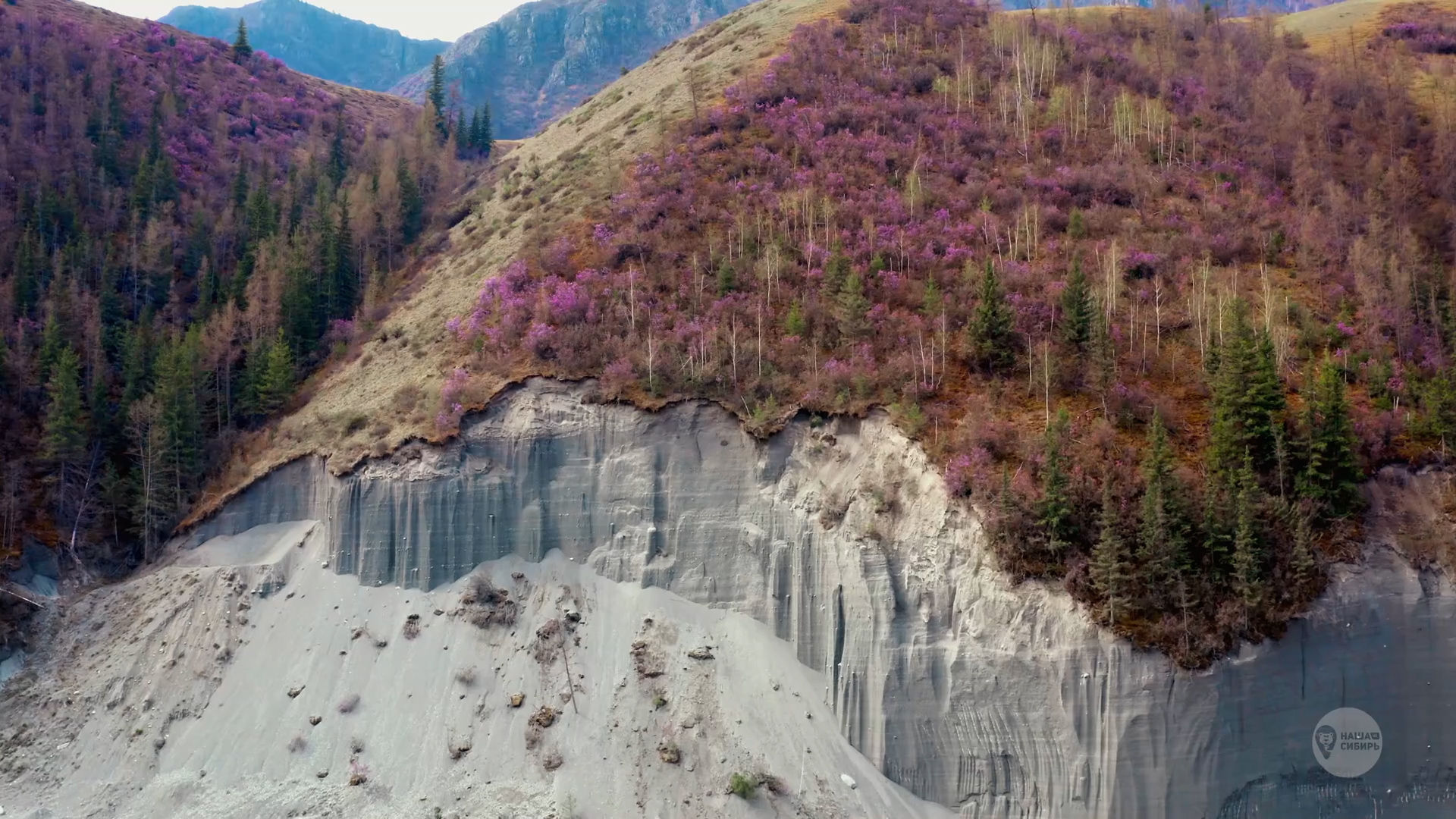我们的西伯利亚4k频道（Наша Сибирь 4К）