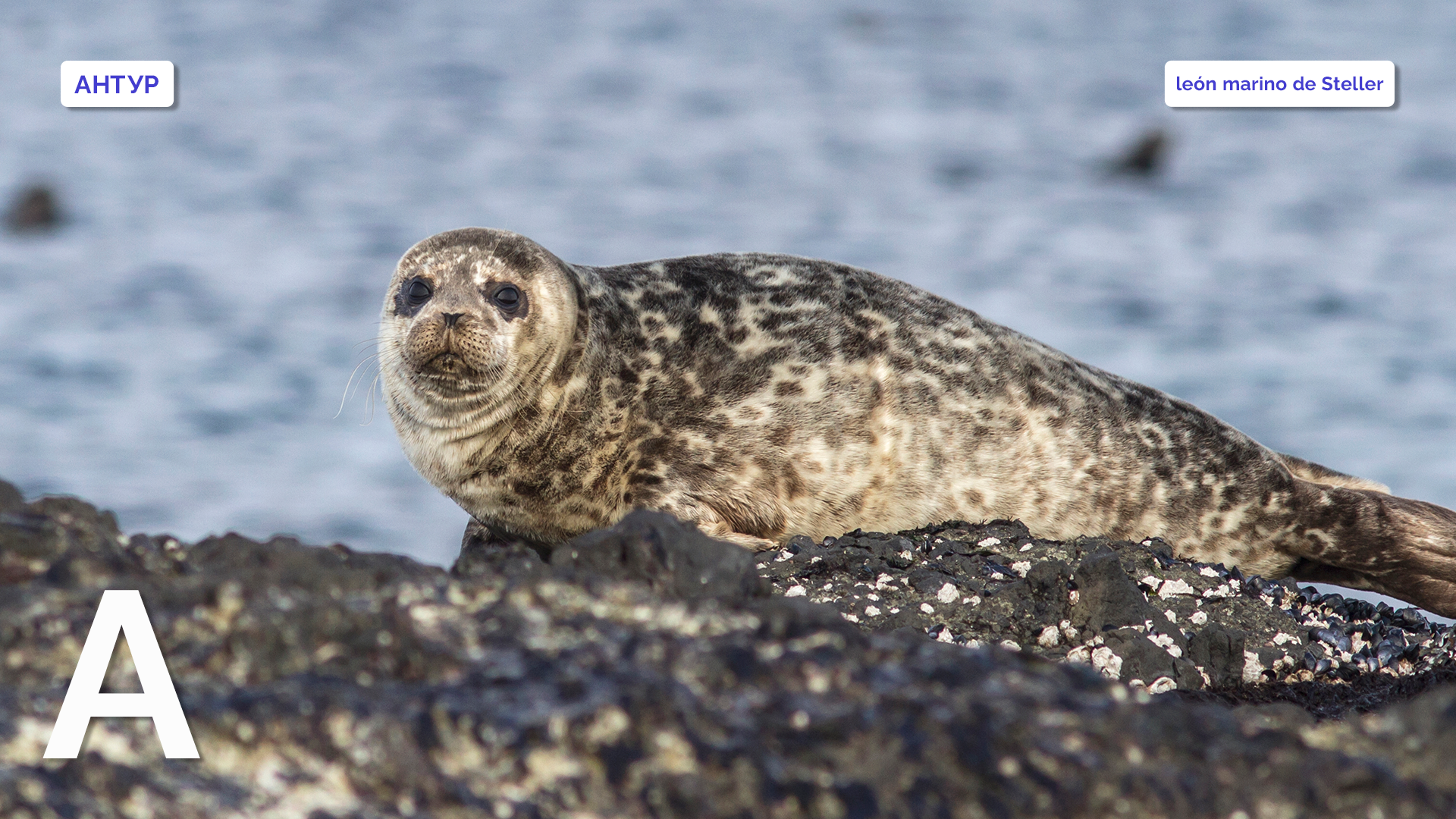 pilipenkoD/Getty Images