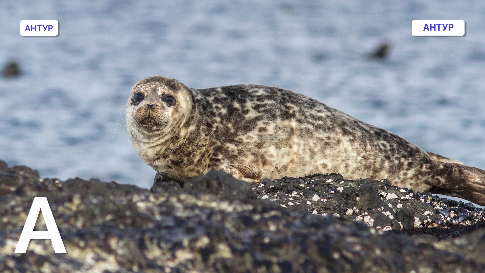 pilipenkoD / Getty Images