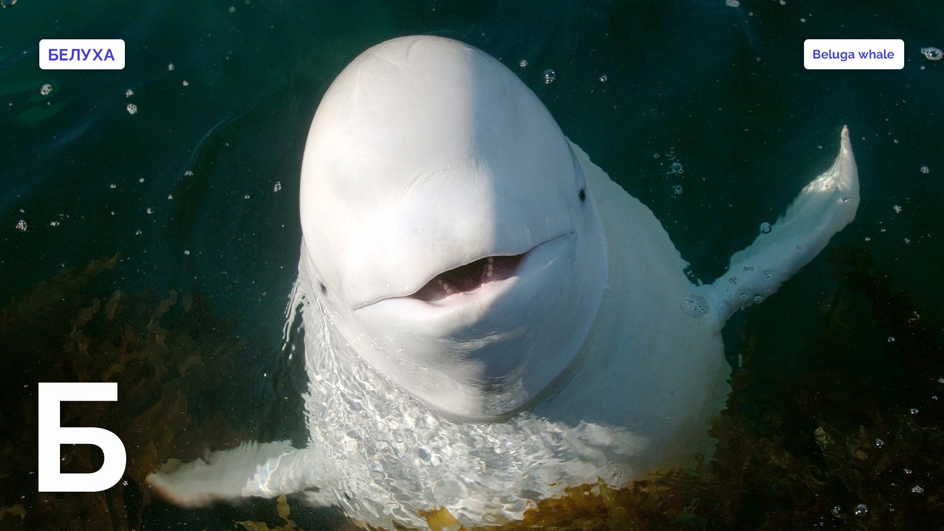 Andrey Nekrasov / Getty Images