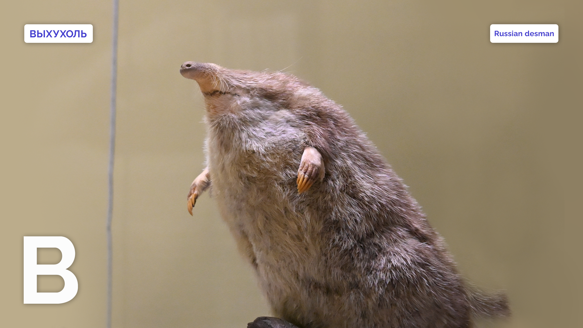 Pelageya Tikhonova/Sputnik / Sputnik