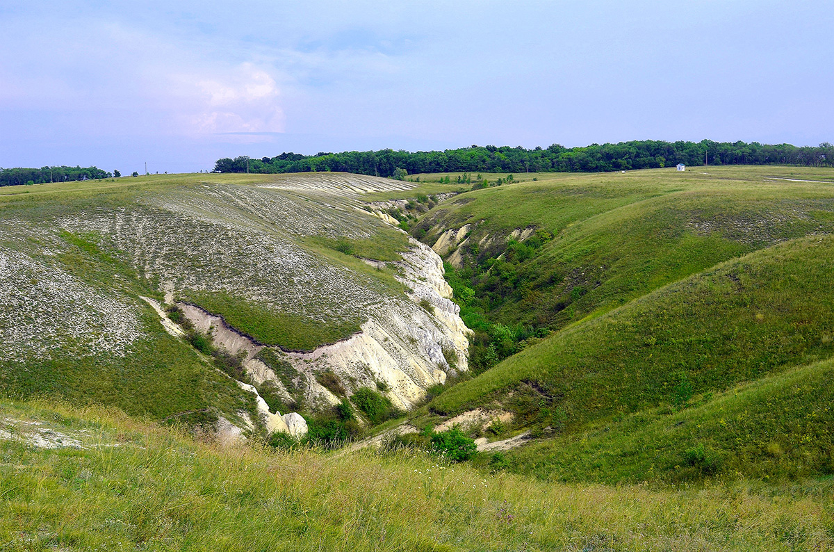 GAlexandrova (CC BY 4.0)