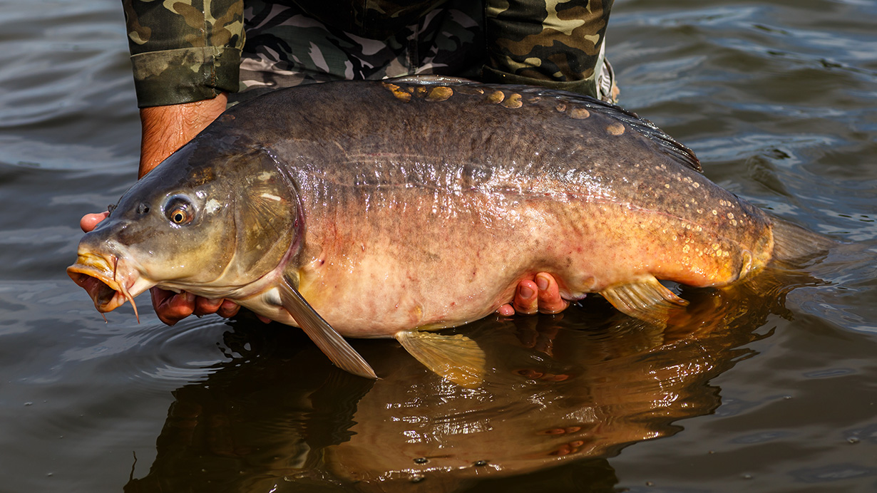 IURII BUKHTA / Getty Images