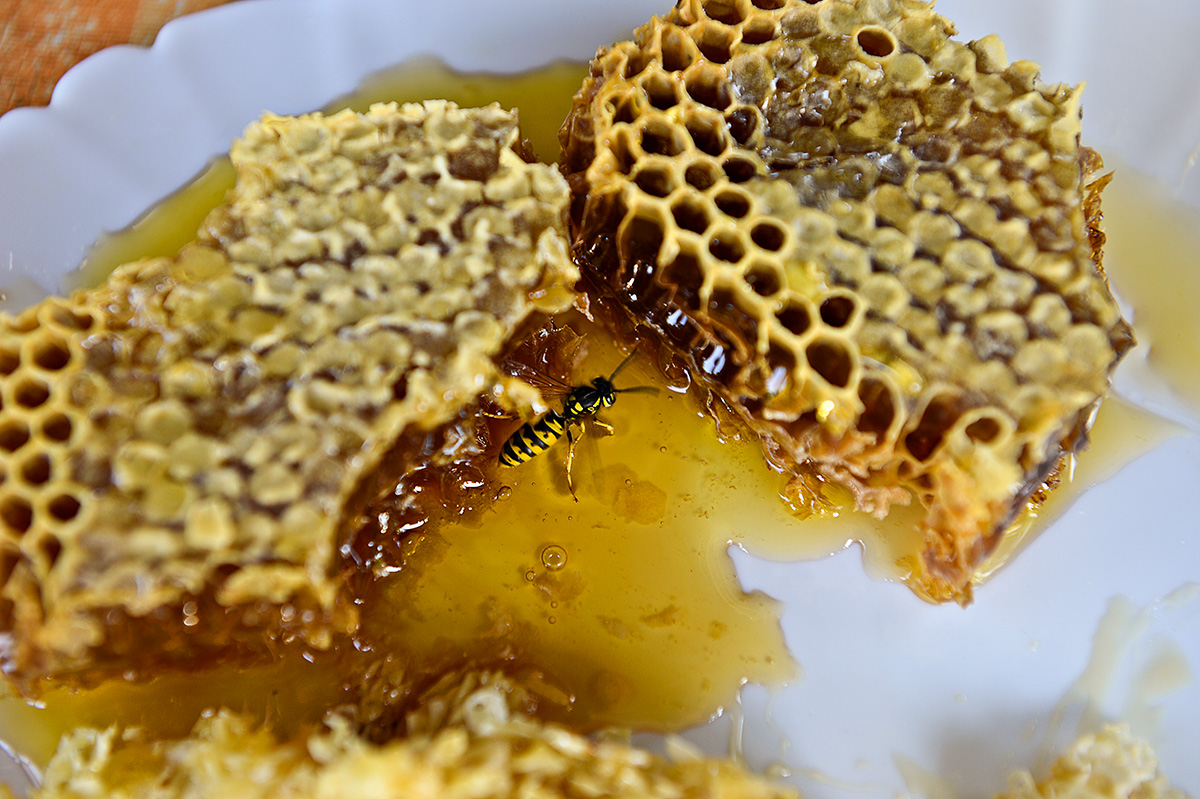 Александр Кряжев / Sputnik