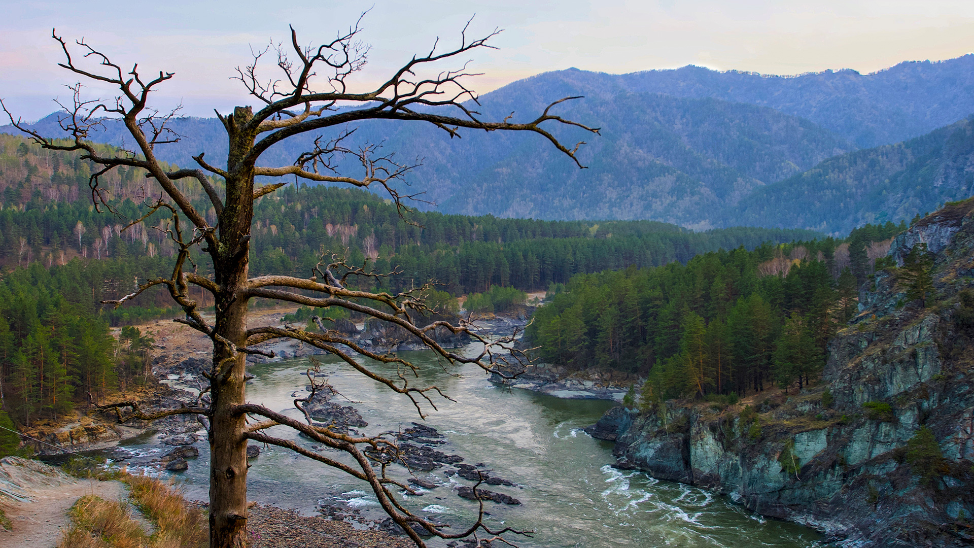 VIKTOR KOROTKOV/500px/Getty Images