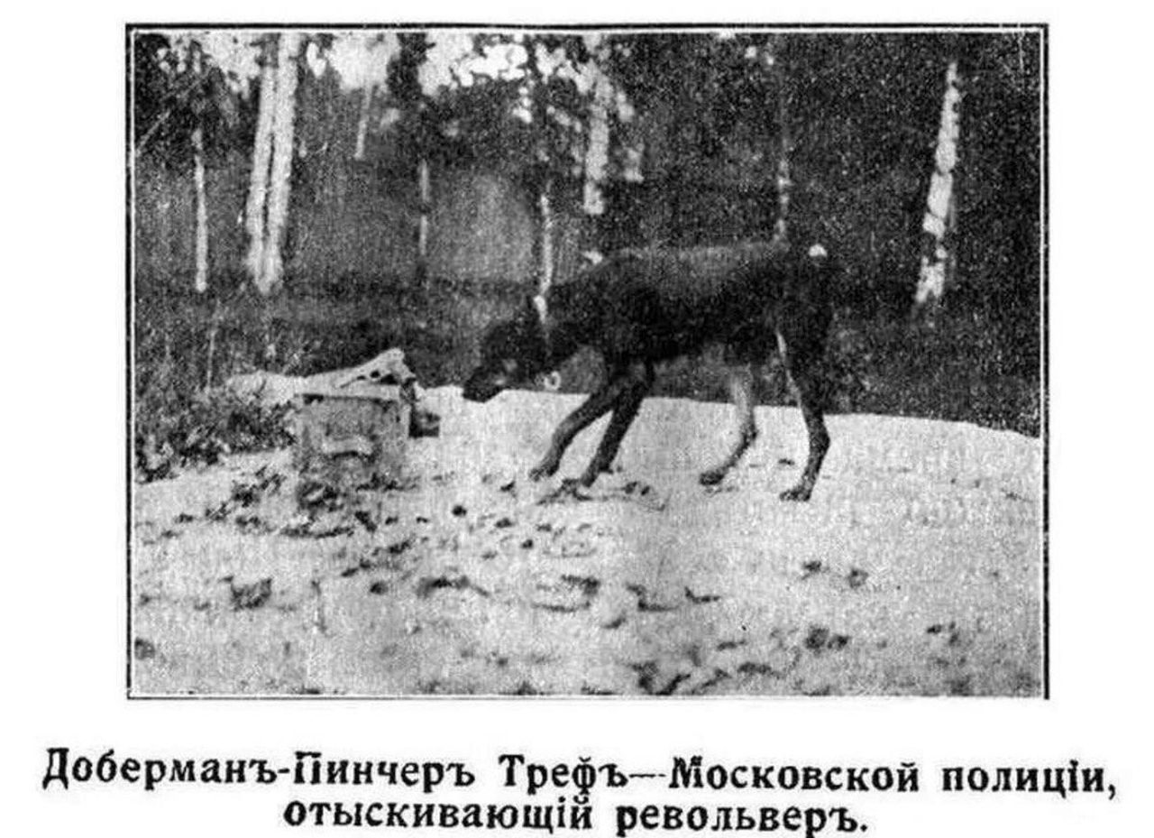 Archivfoto