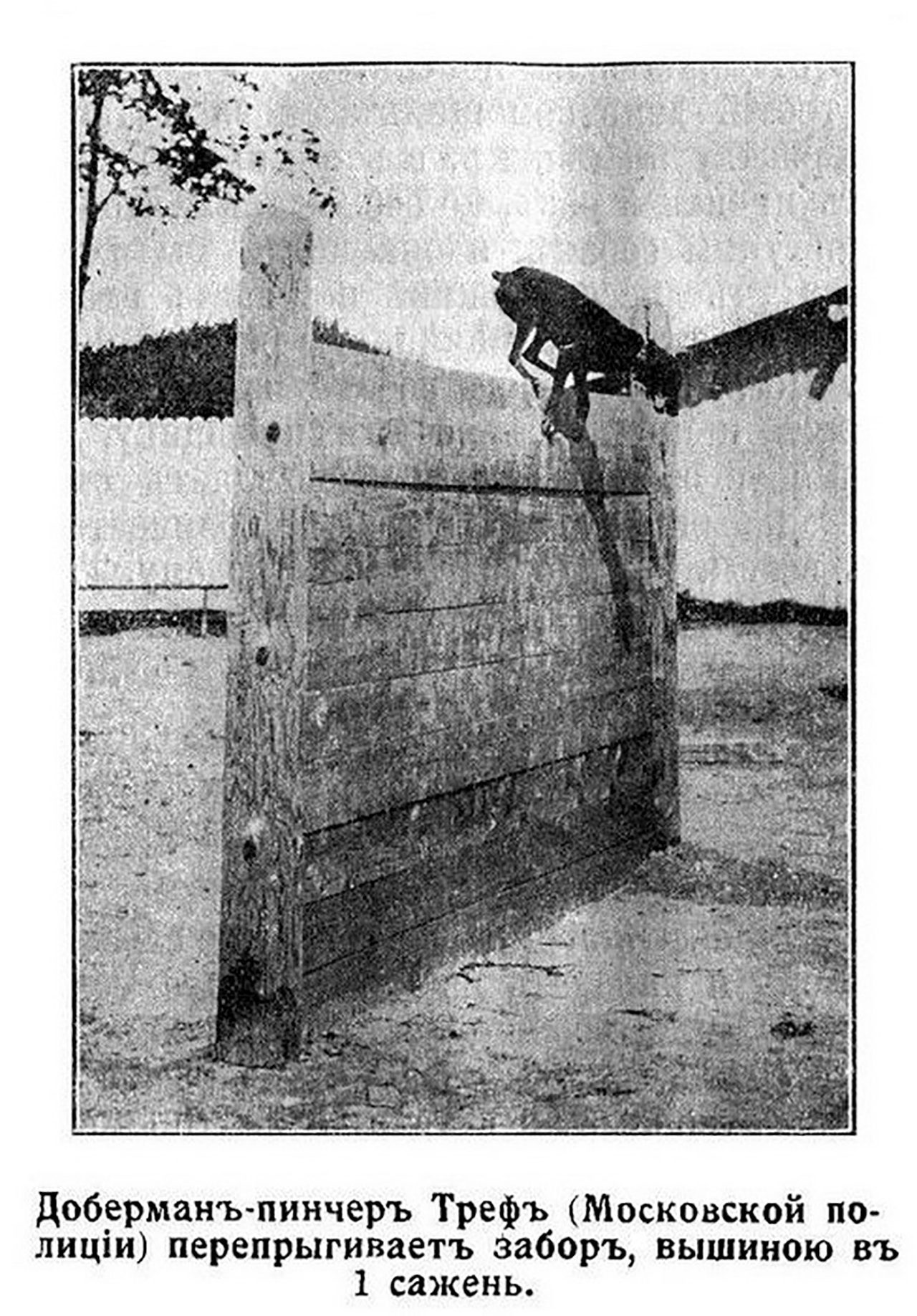 Archivfoto