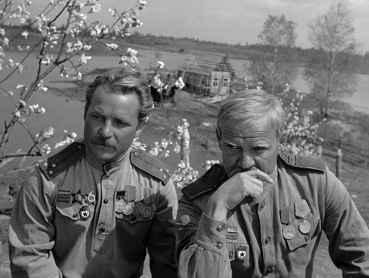 В. Кречет / Sputnik