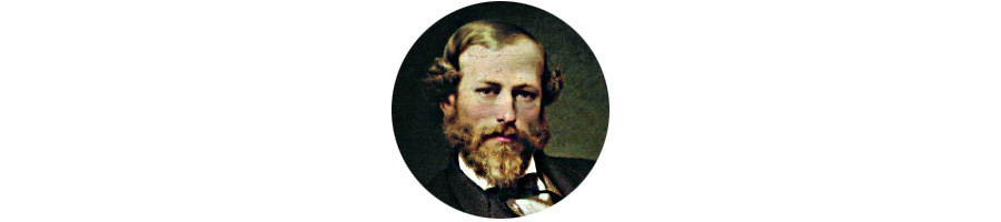 Bronnikov F.A